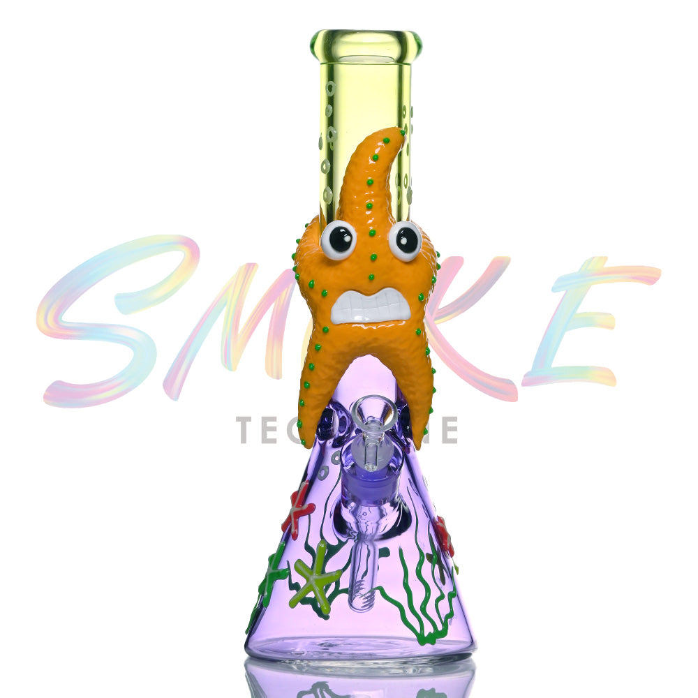 3D Cartoon Starfish Character TZ253 - Smoke Tech One LLC